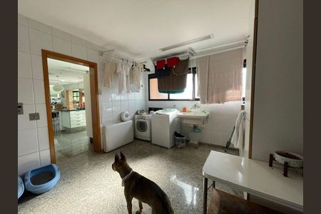 Apartamento à venda com 385m², 4 quartos e 6 vagas