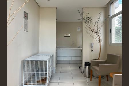 Apartamento à venda com 70m², 3 quartos e 1 vaga Apartamento à venda com 70m², 3 quartos e 1 vagaÁrea comum - Pet
