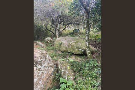 Área externa de casa para alugar com 1 quarto, 90m² em Lagoa da Conceição, Florianópolis