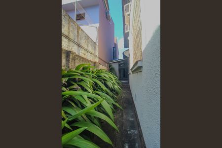Casa à venda com 250m², 3 quartos e 2 vagas Casa à venda com 250m², 3 quartos e 2 vagasQuintal