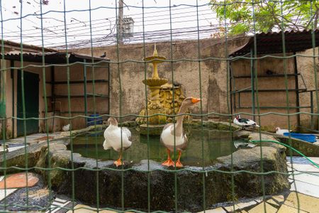 Apartamento para alugar com 59m², 2 quartos e 1 vagaÁrea comum