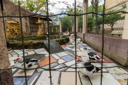 Apartamento para alugar com 59m², 2 quartos e 1 vagaÁrea comum