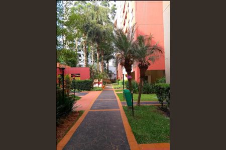 Apartamento para alugar com 64m², 3 quartos e 1 vagaFoto 18