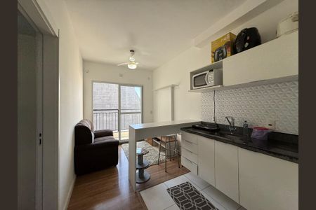 Studio para alugar com 30m², 1 quarto e sem vaga Studio para alugar com 30m², 1 quarto e sem vagaCozinha