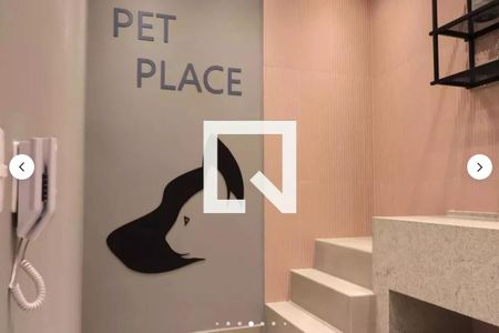 Studio para alugar com 27m², 1 quarto e sem vagaPET PLACE