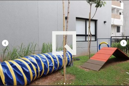 Studio para alugar com 27m², 1 quarto e sem vagaPET PLACE