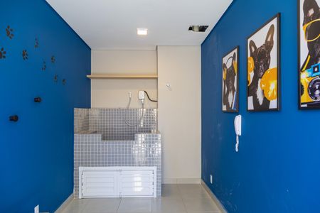 Apartamento para alugar com 38m², 2 quartos e sem vaga Apartamento para alugar com 38m², 2 quartos e sem vagaÁrea comum - PetCare