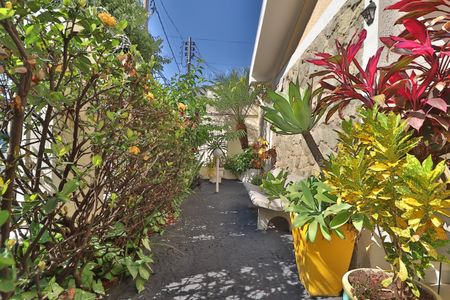 Casa para alugar com 244m², 3 quartos e 2 vagasJardim