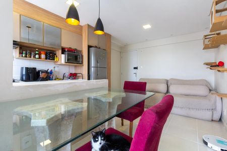 Sala de apartamento para alugar com 2 quartos, 49m² em Burgo Paulista, São Paulo