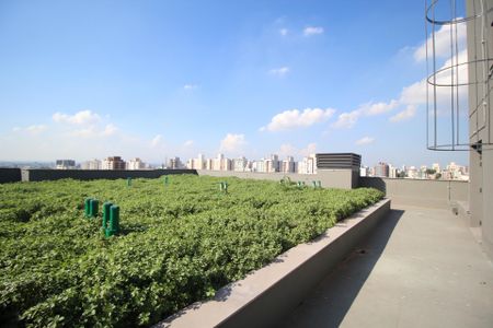 Apartamento à venda com 93m², 3 quartos e 2 vagasTerraço