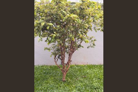 Casa para alugar com 140m², 3 quartos e 5 vagas