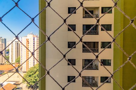 Apartamento para alugar com 2 quartos, 50m² em Vila Mascote, São Paulo
