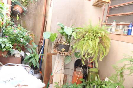 Casa para alugar com 90m², 2 quartos e sem vagaQuintal