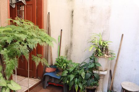 Casa para alugar com 90m², 2 quartos e sem vagaQuintal