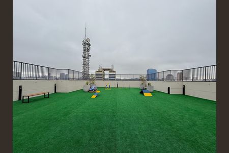 Studio para alugar com 25m², 0 quarto e sem vaga Studio para alugar com 25m², 0 quarto e sem vagaEspaço Pet