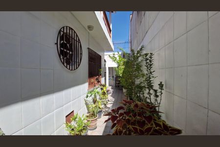 Casa à venda com 180m², 3 quartos e 1 vagaQuintal