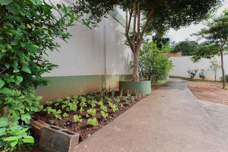 Apartamento à venda com 70m², 3 quartos e 1 vagaÁrea comum - Horta comuniatária