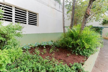 Apartamento à venda com 70m², 3 quartos e 1 vagaÁrea comum - Horta comuniatária