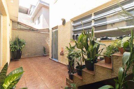 Casa para alugar com 250m², 3 quartos e sem vagaQuintal 
