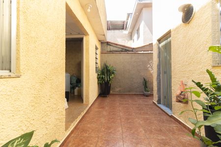 Casa para alugar com 250m², 3 quartos e sem vagaQuintal 