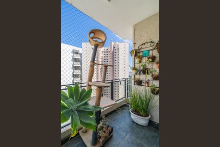 Apartamento para alugar com 132m², 3 quartos e 2 vagasSuíte