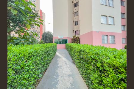 Apartamento para alugar com 55m², 2 quartos e 1 vagaFachada do bloco