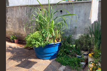 Casa para alugar com 40m², 1 quarto e sem vaga Casa para alugar com 40m², 1 quarto e sem vagaQuintal