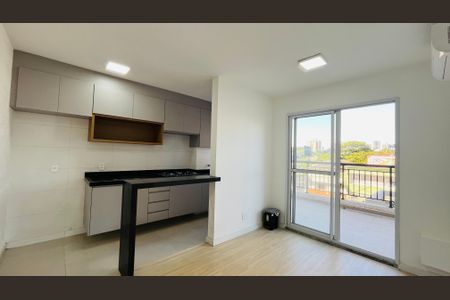 Sala de apartamento para alugar com 2 quartos, 80m² em Conceicao, Campinas