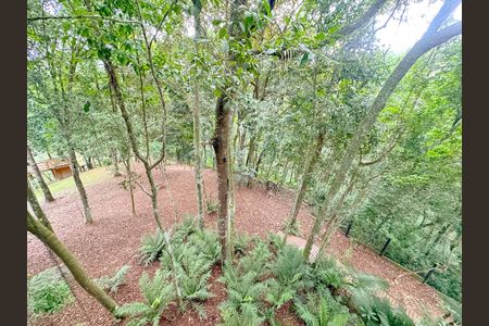 Casa para alugar com 300m², 1 quarto e 3 vagasVista 