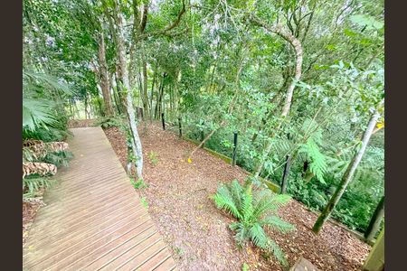 Casa para alugar com 300m², 1 quarto e 3 vagasÁrea externa