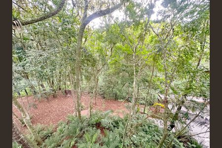 Casa para alugar com 300m², 1 quarto e 3 vagasVista 