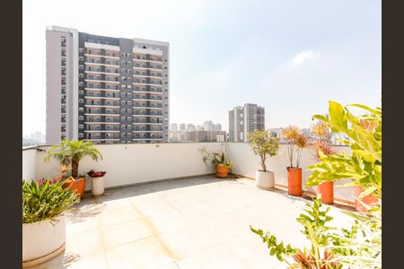 Studio para alugar com 27m², 1 quarto e sem vaga Studio para alugar com 27m², 1 quarto e sem vagaÁrea comum - Churrasqueira