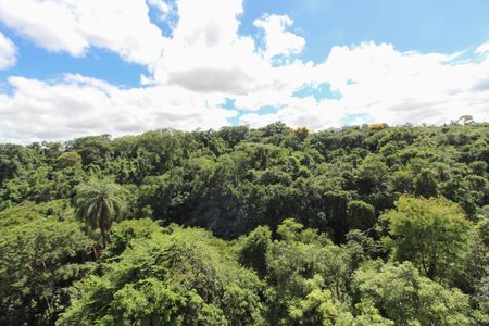 Vista da Sala de apartamento à venda com 3 quartos, 96m² em Castelo, Belo Horizonte