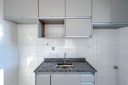 Apartamento para alugar com 43m², 2 quartos e 1 vagaCozinha - Armários