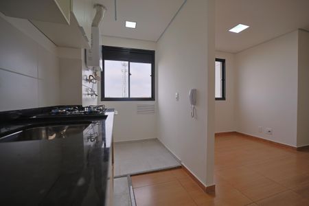 Cozinha de apartamento para alugar com 2 quartos, 38m² em Vila Campanela, São Paulo