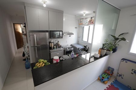 Cozinha de apartamento para alugar com 2 quartos, 43m² em Vila Guiomar, Santo André