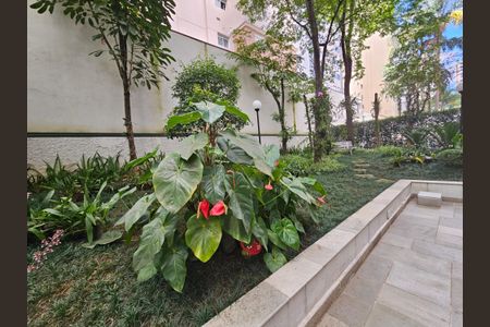 Apartamento para alugar com 68m², 3 quartos e 1 vaga Apartamento para alugar com 68m², 3 quartos e 1 vagaÁrea comum