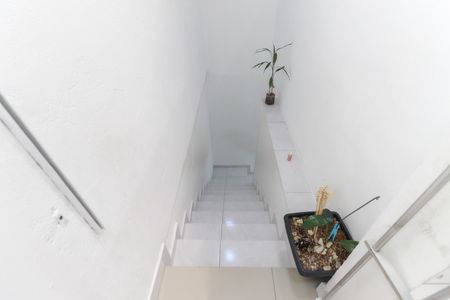 Casa à venda com 300m², 6 quartos e 1 vagaEscada Casa 2