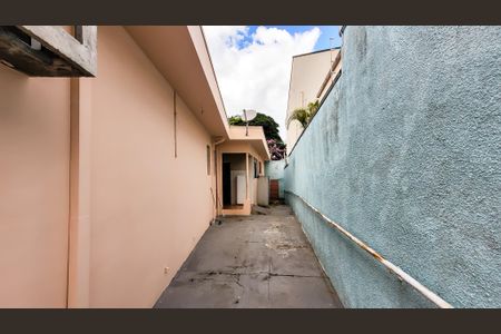 Casa para alugar com 210m², 8 quartos e sem vagaQuintal