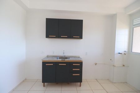Cozinha  de apartamento para alugar com 2 quartos, 50m² em Maubisa, Ribeirão Preto
