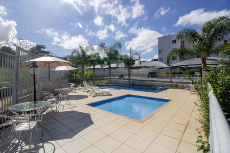 Apartamento para alugar com 45m², 2 quartos e 1 vaga Apartamento para alugar com 45m², 2 quartos e 1 vagaÁrea comum - Piscina