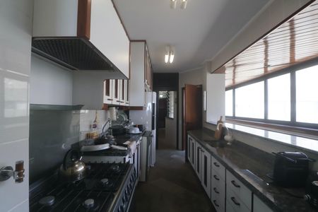 Apartamento para alugar com 280m², 4 quartos e 2 vagas Apartamento para alugar com 280m², 4 quartos e 2 vagasCozinha