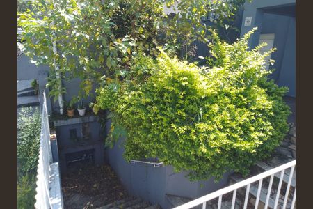 Casa para alugar com 170m², 7 quartos e 2 vagasQuintal