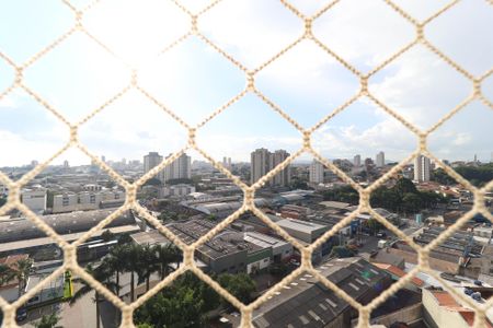 Apartamento para alugar com 69m², 3 quartos e 1 vaga Apartamento para alugar com 69m², 3 quartos e 1 vagaQuarto 1 - Vista