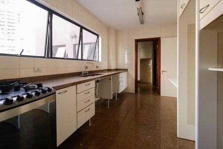 Apartamento para alugar com 305m², 5 quartos e 2 vagas Apartamento para alugar com 305m², 5 quartos e 2 vagasCozinha - Armários