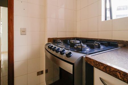 Apartamento para alugar com 305m², 5 quartos e 2 vagas Apartamento para alugar com 305m², 5 quartos e 2 vagasCozinha - Armários