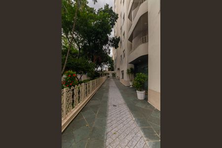 Apartamento para alugar com 80m², 3 quartos e 1 vaga Apartamento para alugar com 80m², 3 quartos e 1 vagaÁrea comum