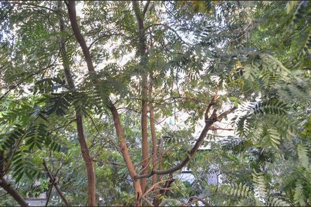 Apartamento à venda com 192m², 4 quartos e 3 vagas Apartamento à venda com 192m², 4 quartos e 3 vagasSala