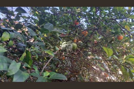 Foto 15 de casa à venda com 2 quartos, 78m² em Jardim Centenário, Campinas