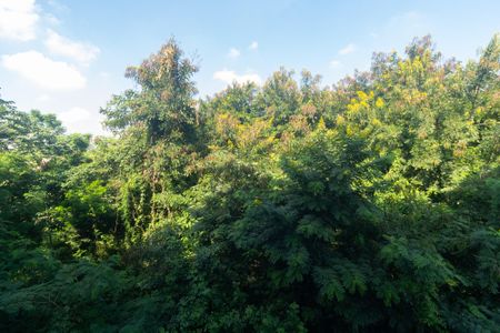 Apartamento para alugar com 45m², 1 quarto e 1 vagaVista da Cozinha e Área de Serviço